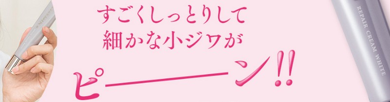 X~yAN[zCgTCg